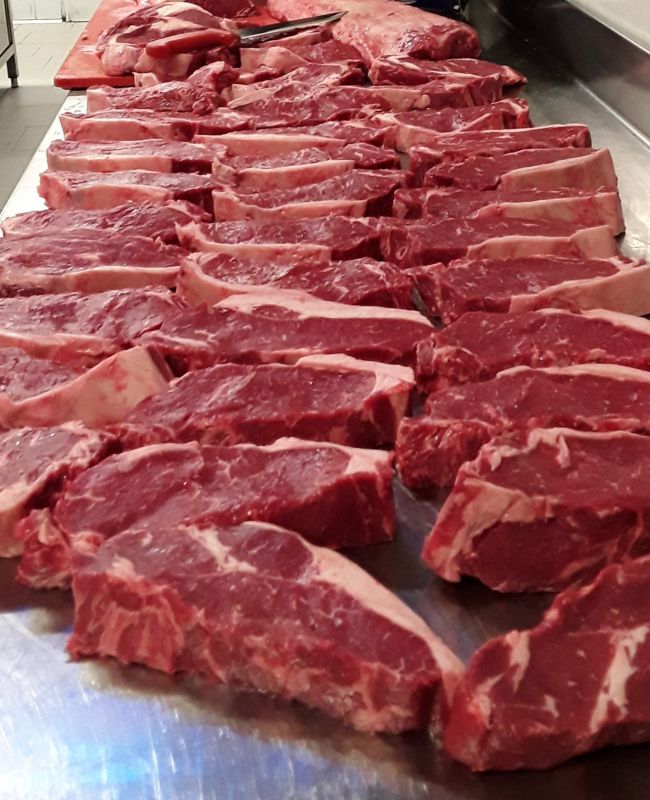angus carne