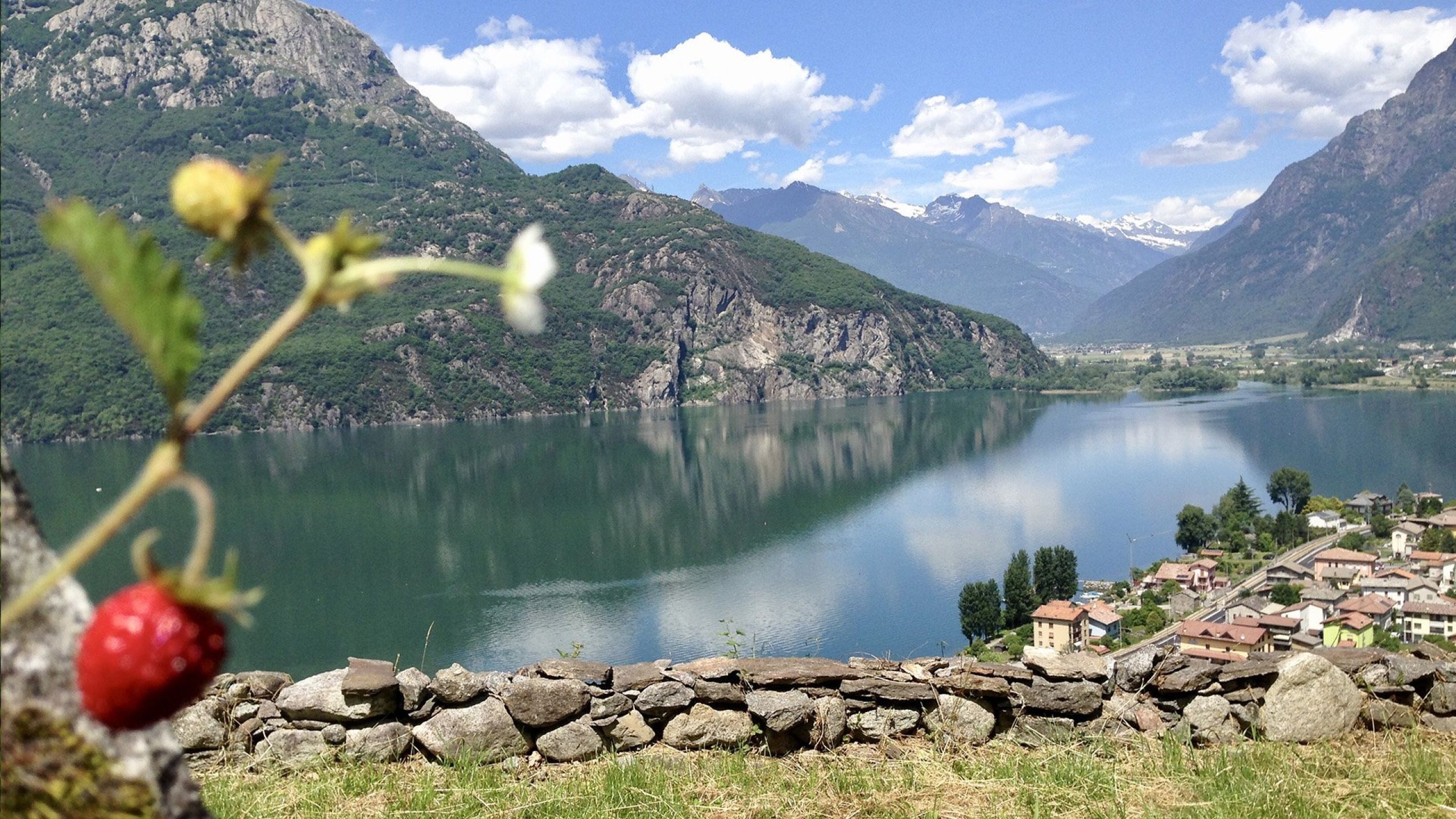 vista lago