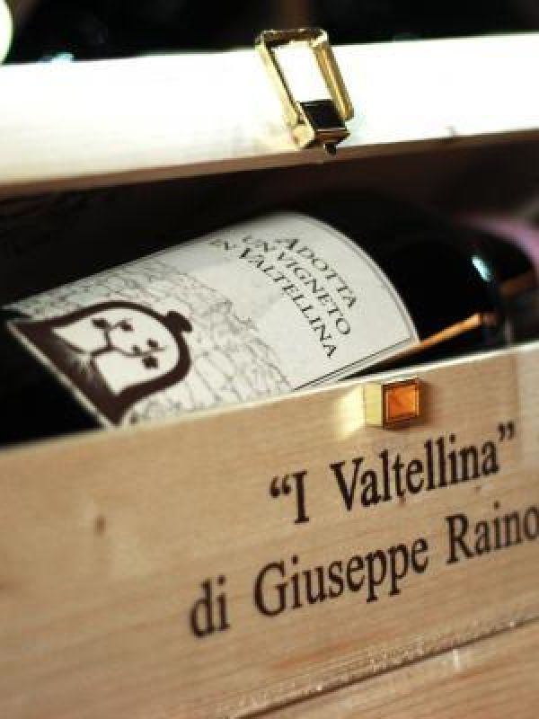 bottiglia di vino in scatola