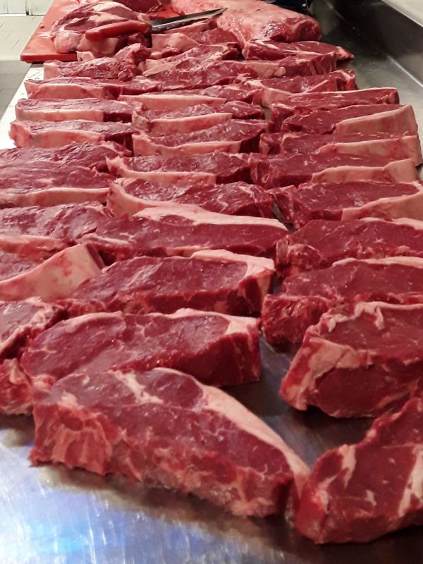 angus carne